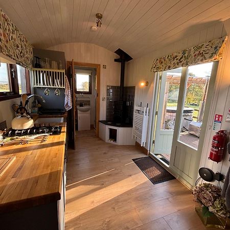 Bron Hafren Bed & Breakfast Montgomery Ngoại thất bức ảnh